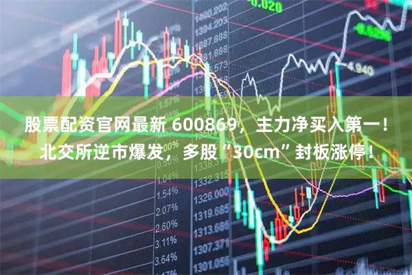 股票配资官网最新 600869，主力净买入第一！北交所逆市爆发，多股“30cm”封板涨停！